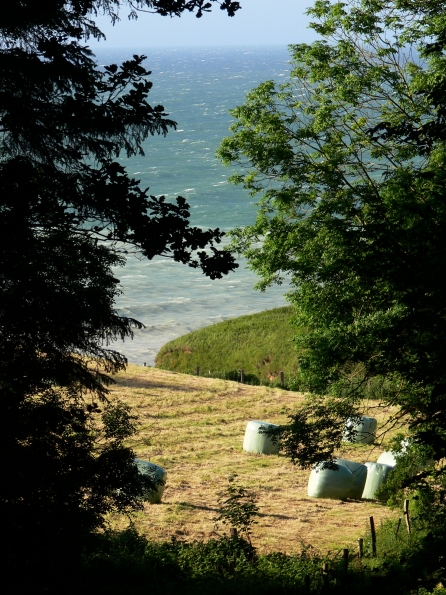 Bois des Moutiers (53) Juin 2012